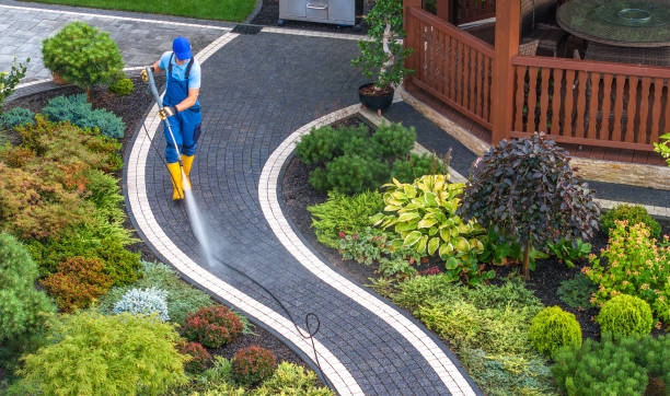 Best Power Washing Near Me  in Mont Clare, PA