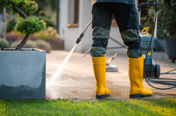 Professional Pressure Washing in Mont Clare, PA
